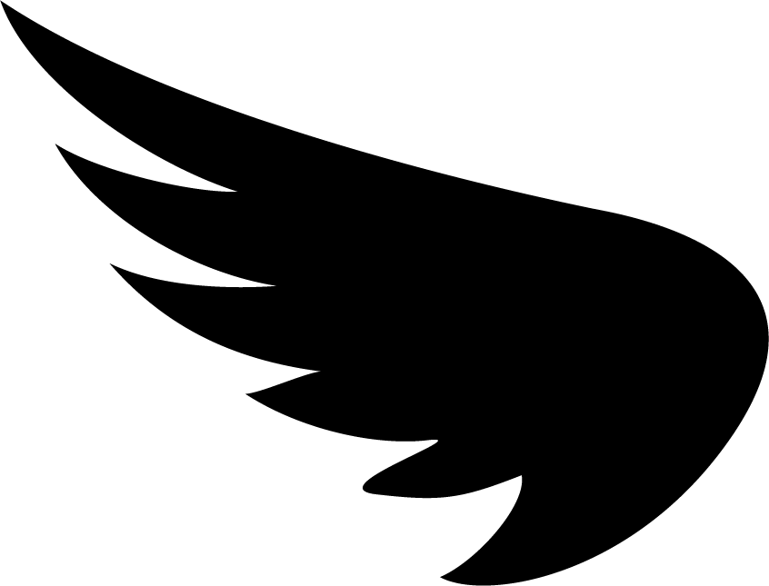 Sa1nt